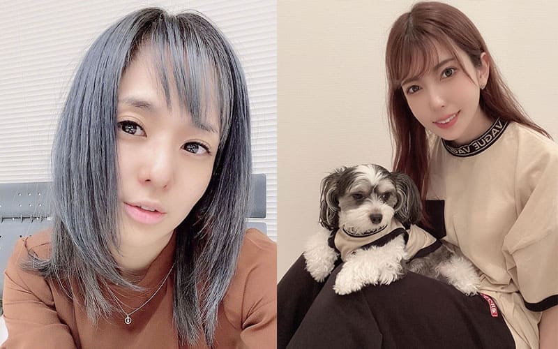 快收藏吧!日本AV新法禁止女优已经有开端,老师们快失业了 快收藏吧!日本AV新法禁止女优已经有开端,老师们快失业了